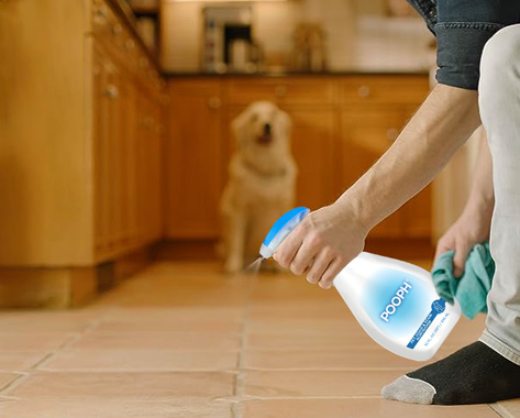 A person spraying Pooph® on the kitchen floor while a dog nearby is watching